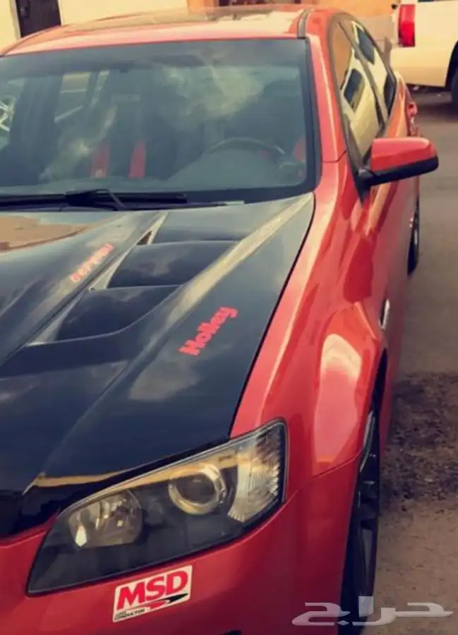 كبوت قفاري 2