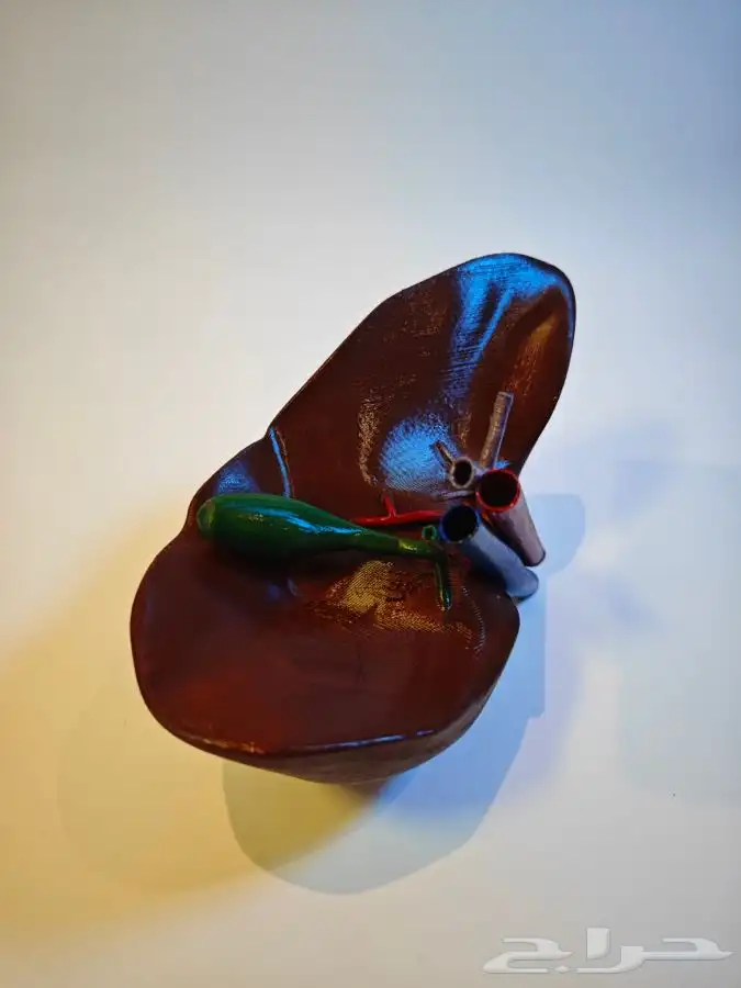 تصميم وطباعة ثر دي لمجسمات الطبية على حسب الطلب بجودة عالية 10