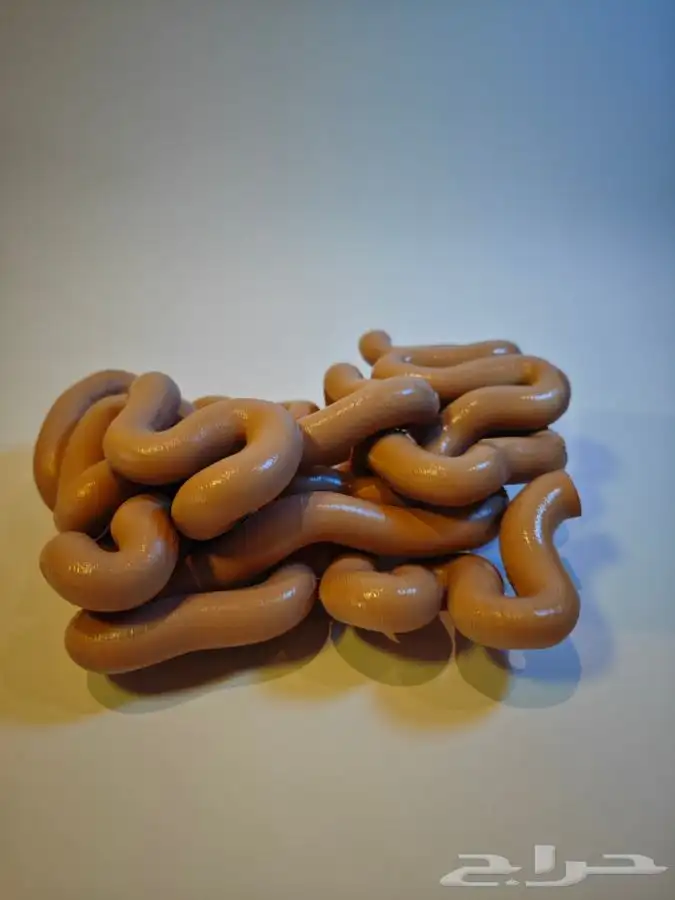 تصميم وطباعة ثر دي لمجسمات الطبية على حسب الطلب بجودة عالية 8