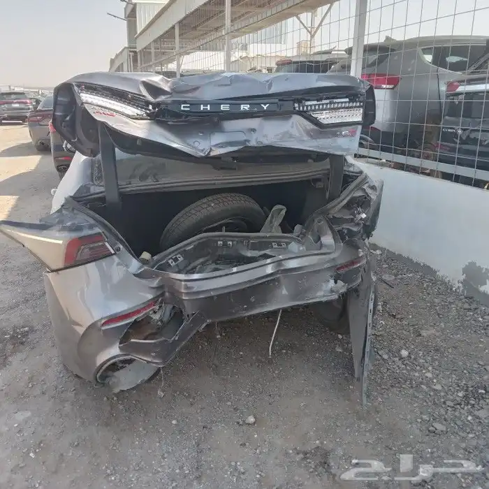 شيري اريزو 6 2023 0