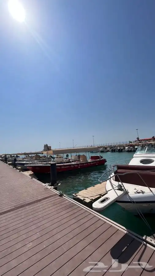 رحلة صيد بحرية فردية في الرايس 4