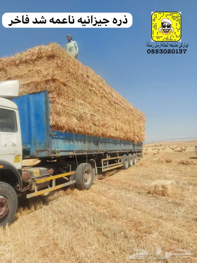 ذره جيزانيه ناعمه 12