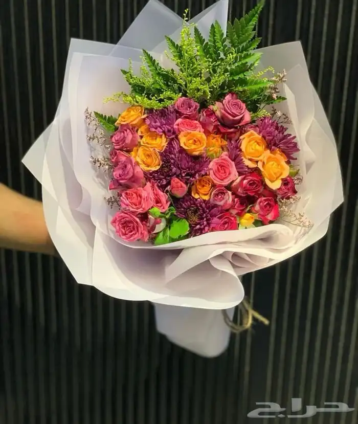 المدينه المنوره 5