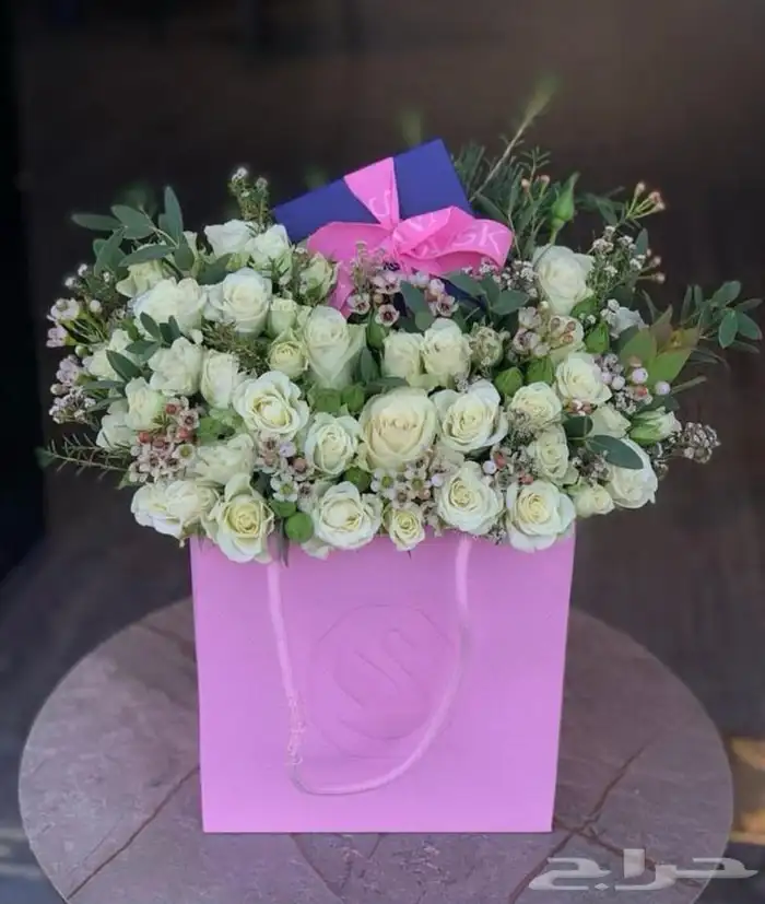 المدينه المنوره 10