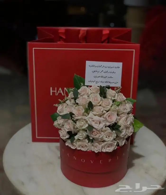 المدينه المنوره 11