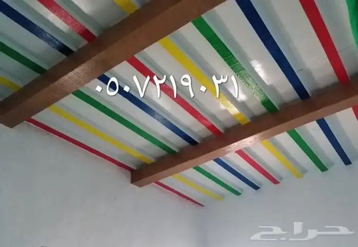 قط عسيري 10