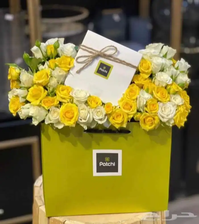المدينه المنوره 14