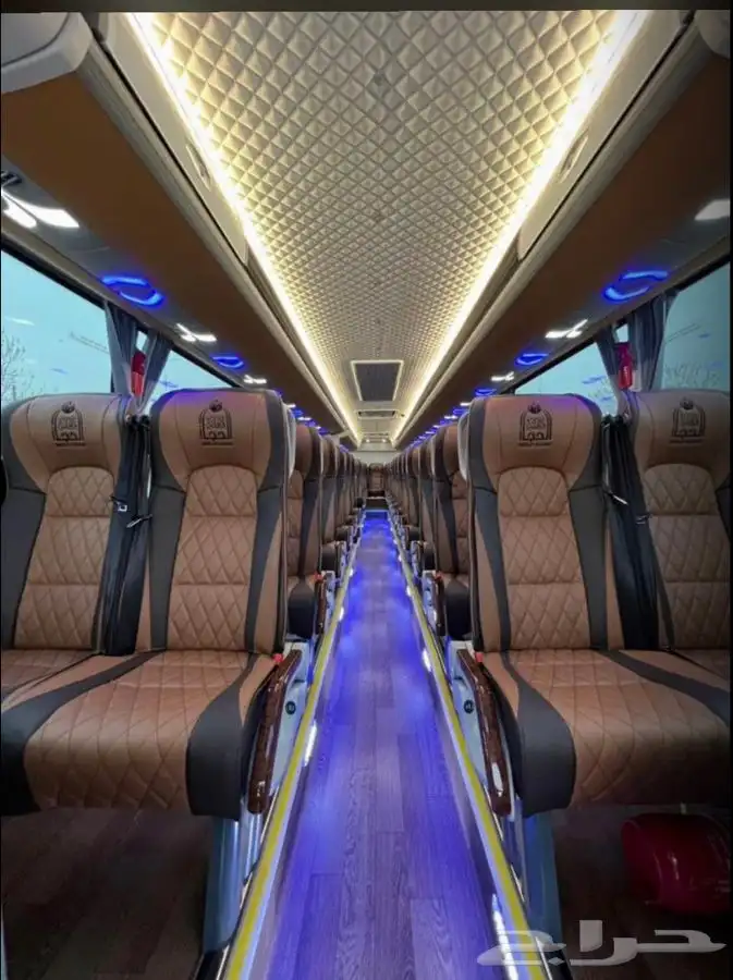 باص 50 راكب 2024 0