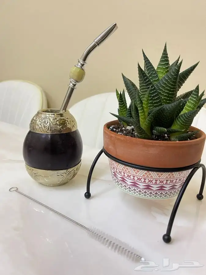 ارخص اكواب و افخم اكواب للمته الارجنتينية 5