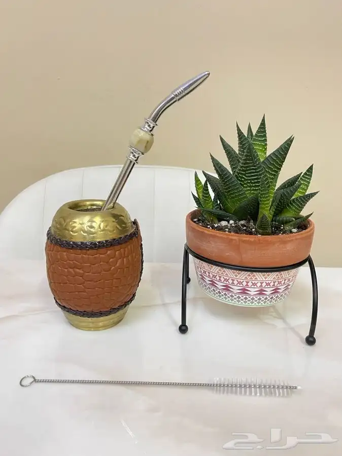 ارخص اكواب و افخم اكواب للمته الارجنتينية 9