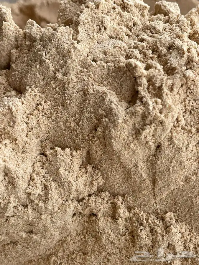 متوفر لدينا ذرة احمر وابيض ودخن وحنطه بلدي من مزارعنا 0