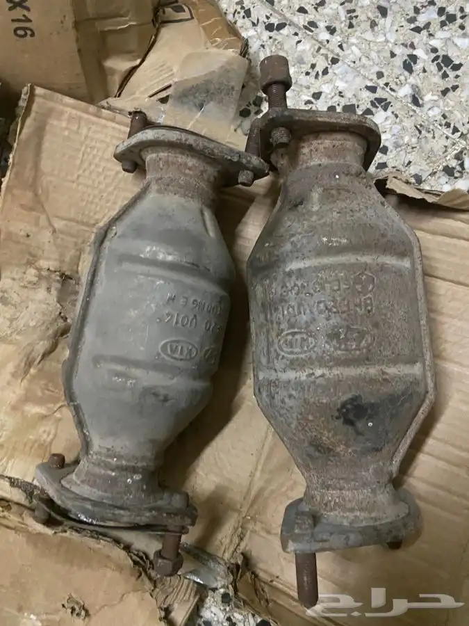 للبيع دبات وسطيه جنسس كوبيه 0