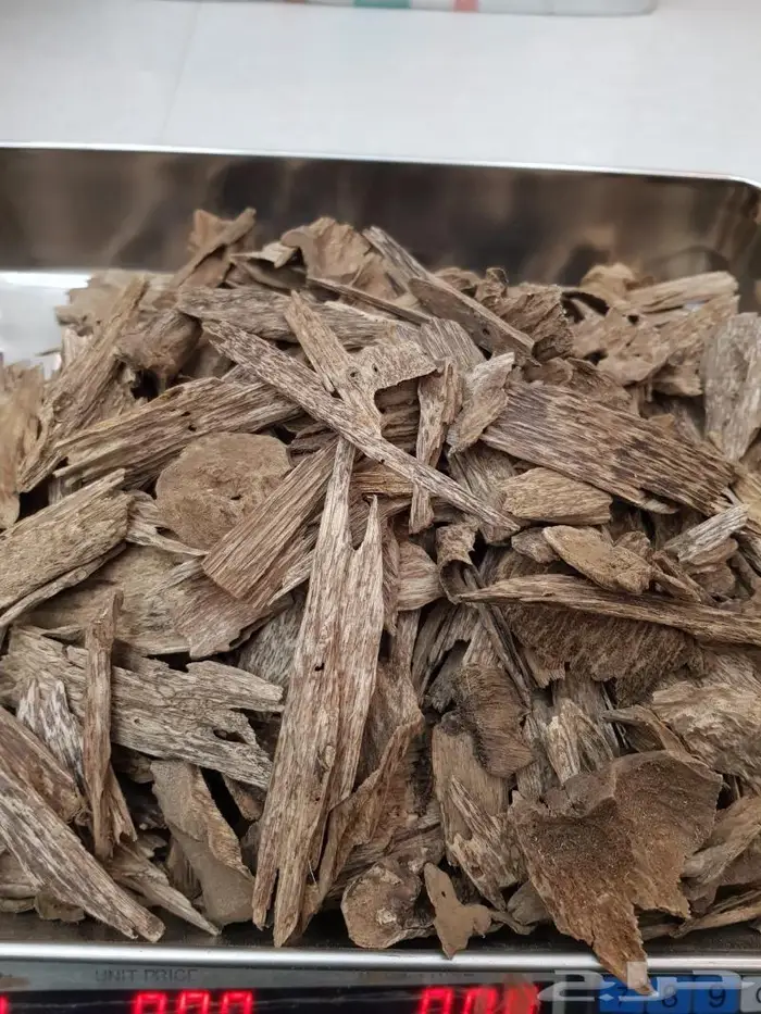 عود كلمنتان طبيعي غابات بونتيانك بسعر الجملة 6