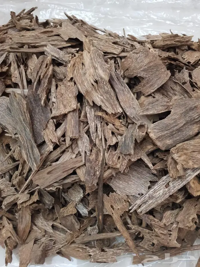 عود كلمنتان طبيعي غابات بونتيانك بسعر الجملة 9