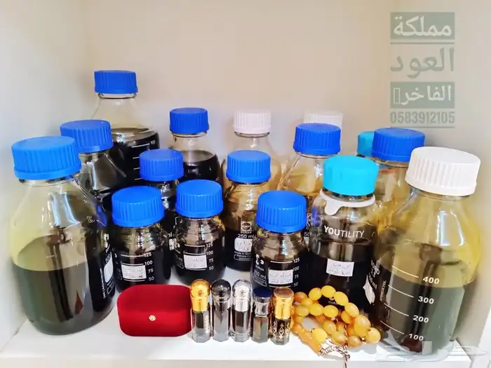 دهن كمبودي خاص عرض جملة فاخر 17