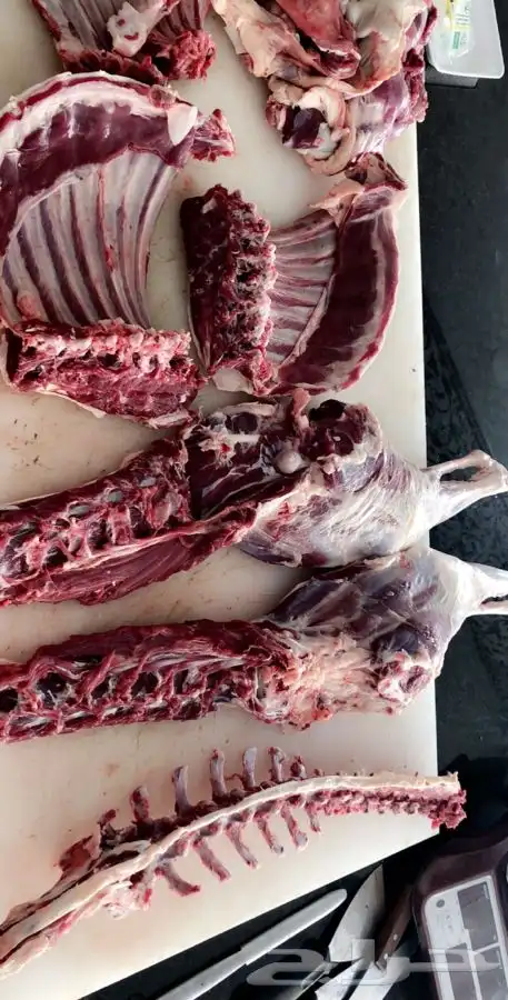 تجهيز جميع مشويات خارجية 7