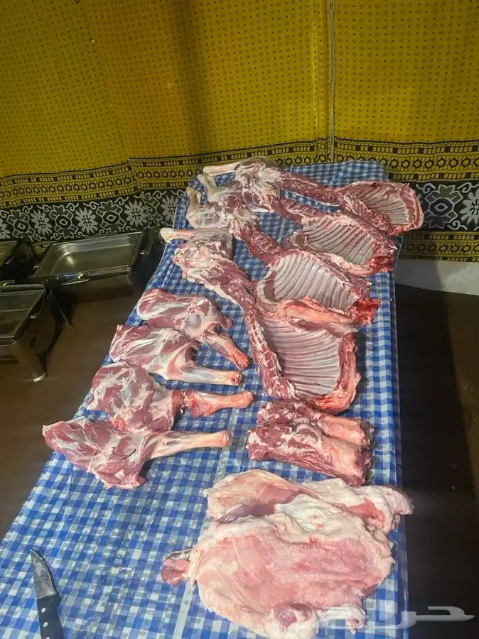 تجهيز جميع مشويات خارجية 6