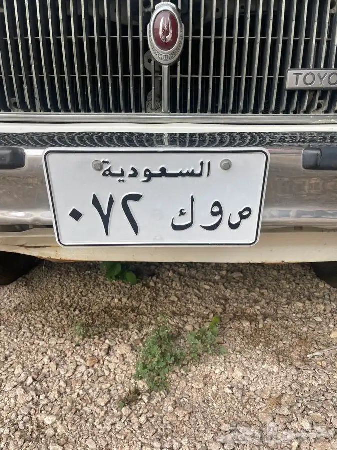 لوحه مميزه للبيع خصوصي 0