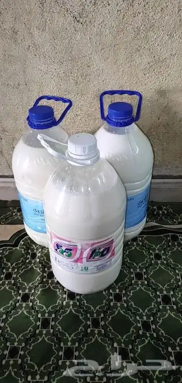 سمن غنم وروب غنم. دهنت غنم 0