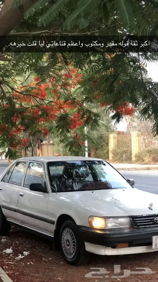 كرسيدا نظيفه جدا مشاء الله 2