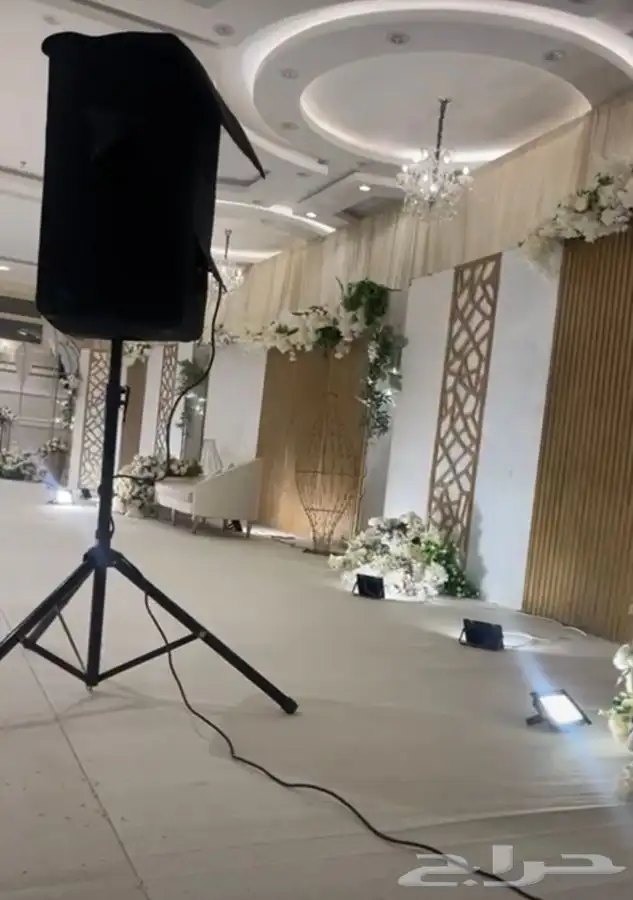 عازفات وديجي 4