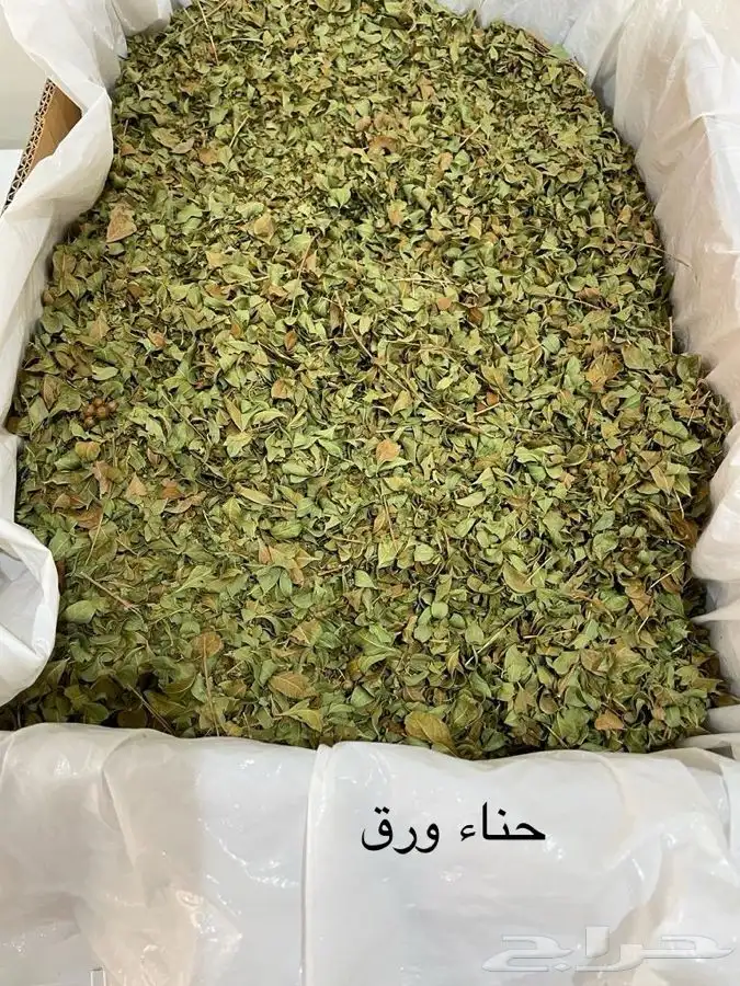 حناء ورق طبيعي في بيشة 3