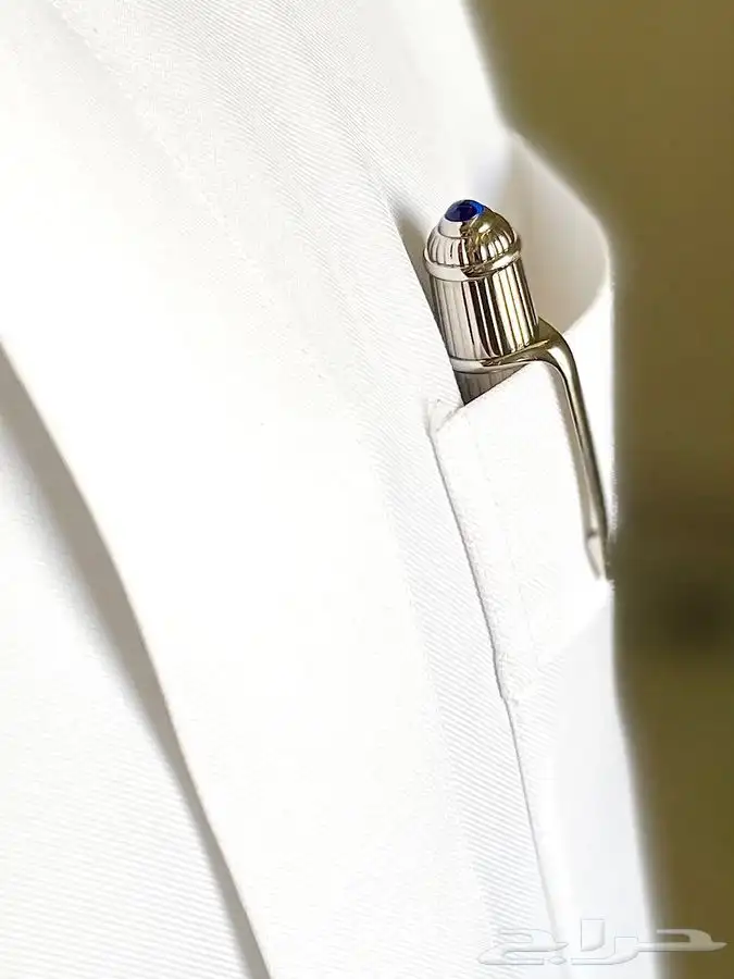 قلم كارتير ديابلو جوردن Cartier ( تم البيع ) 1