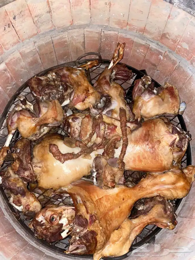 طباخ متنقل مناسبات ومخيمات مندي وعربي داخل وخارج جده 2