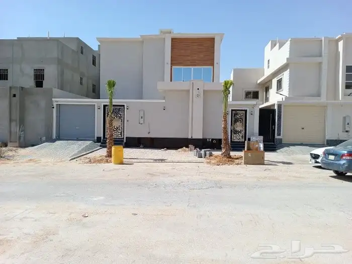 نخيل عربي واشنطني توصيل وزراعه 4