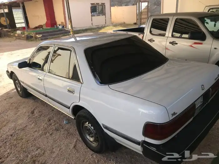 كرسيدا نظيفه جدا مشاء الله 13