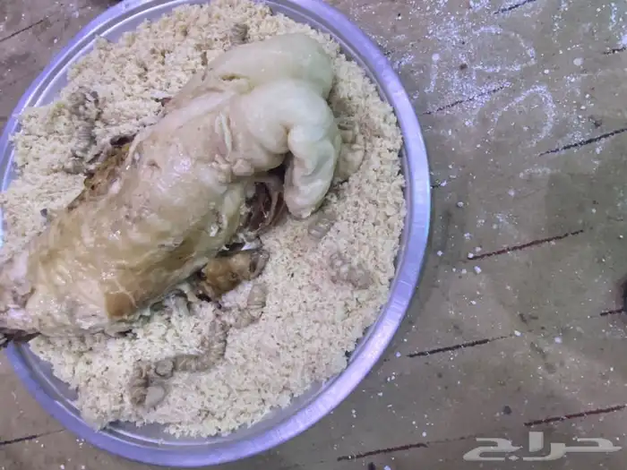 طباخ متنقل مناسبات ومخيمات مندي وعربي داخل وخارج جده 3