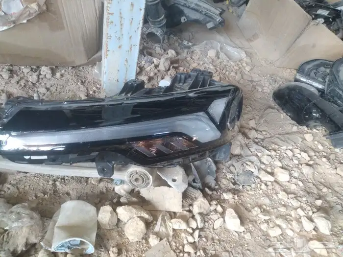 جميع انواع صيني 2022 7