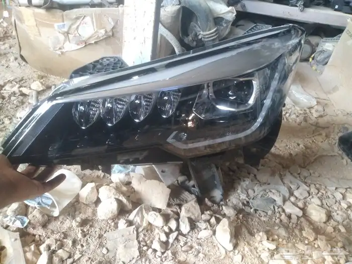 جميع انواع صيني 2022 8