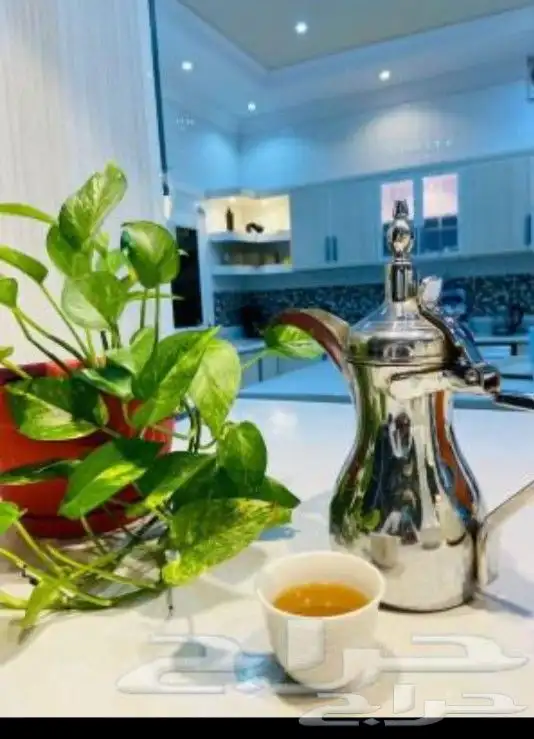 قهوجي داخل المدينه وخارجها 3