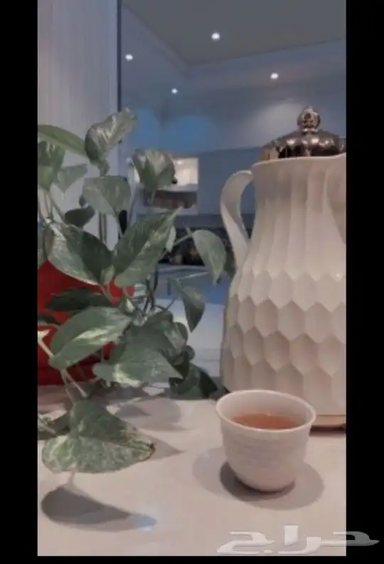 قهوجي داخل المدينه وخارجها 2