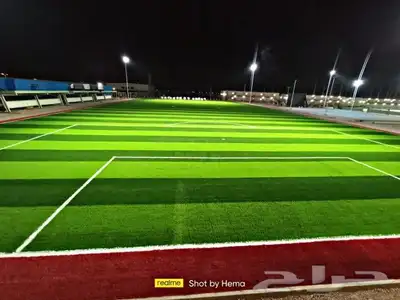 عشب جداري ..عشب ارضي صناعي اسعار جملة.. 20
