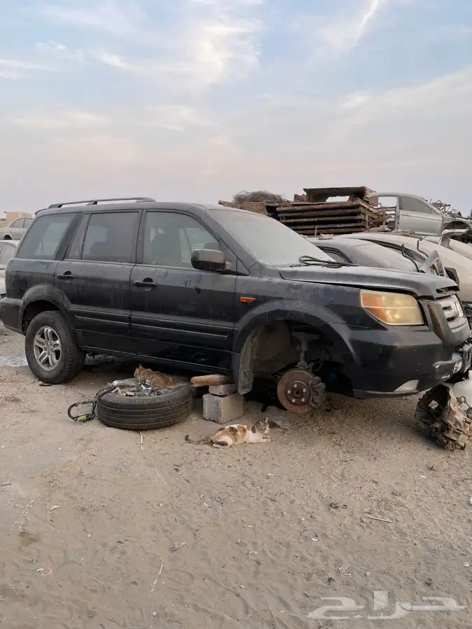 هوندا ام ار بي 1