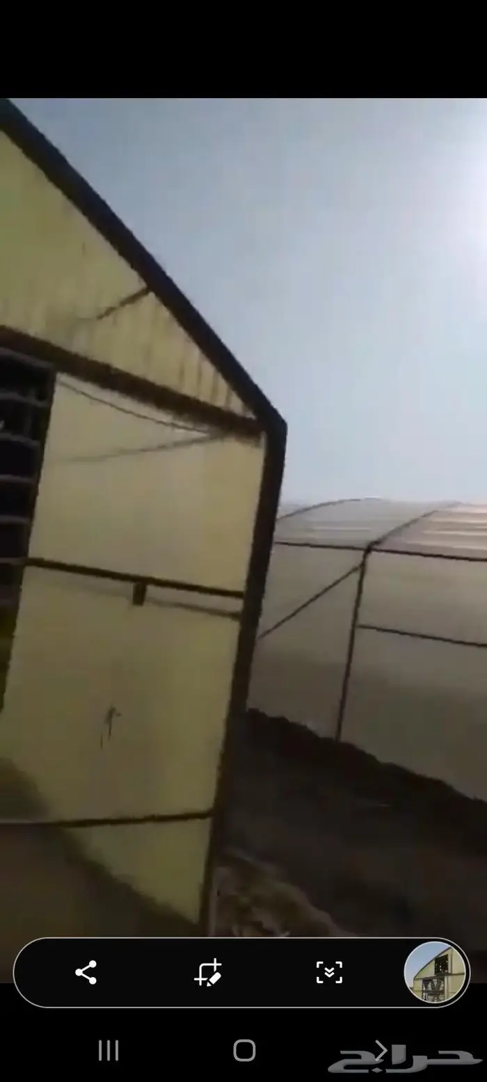 بيوت محمية و صالات زراعية مكيفة 7