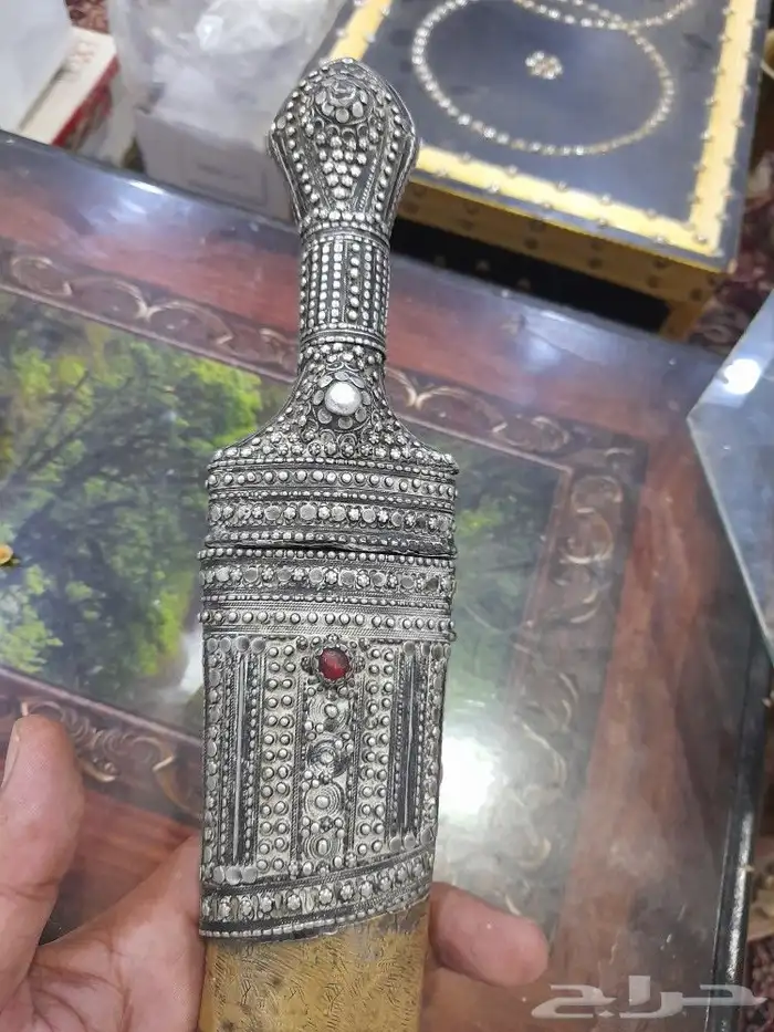 جنبيه جنوبيه وكاترج 3