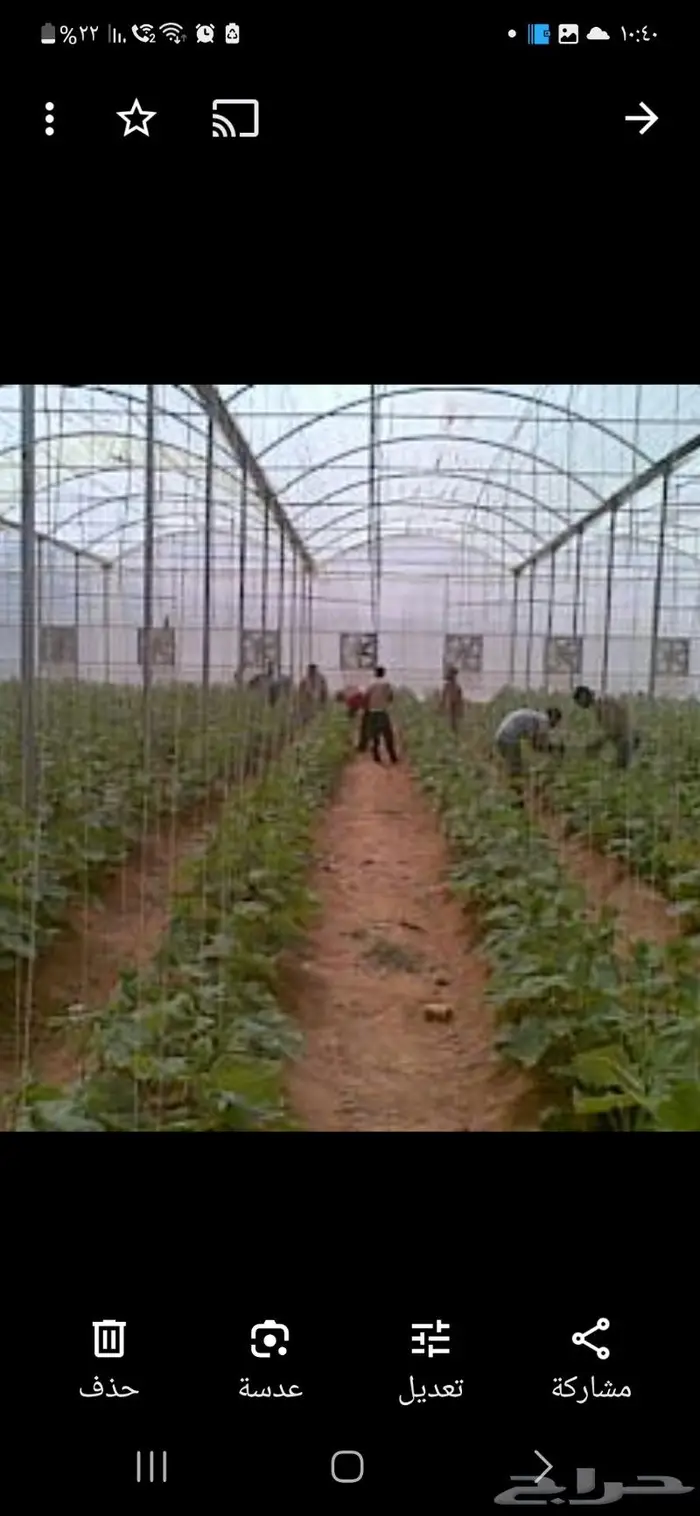 بيوت محمية و صالات زراعية مكيفة 0