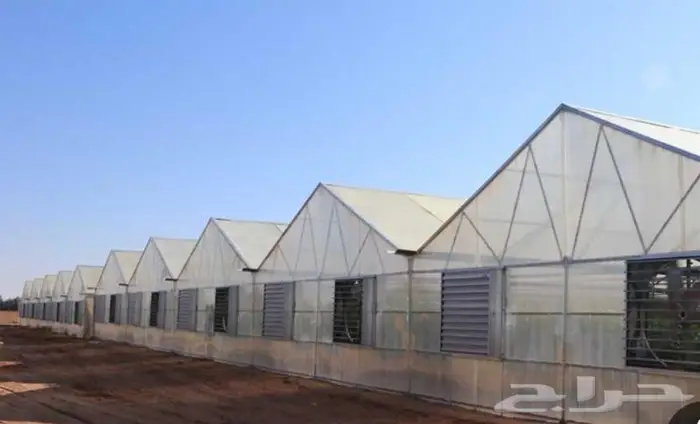 بيوت محمية و صالات زراعية مكيفة 3