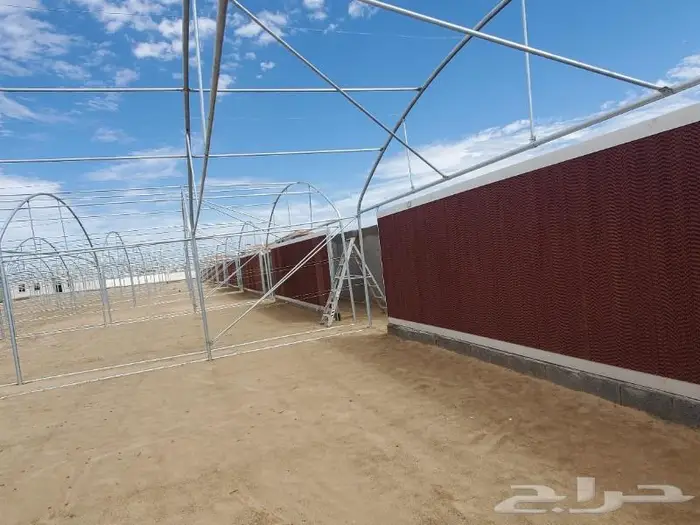 بيوت محمية و صالات زراعية مكيفة 17