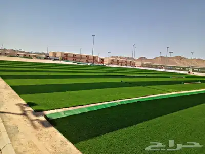 عشب جداري ..عشب ارضي صناعي اسعار جملة.. 23