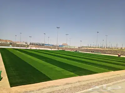 عشب جداري ..عشب ارضي صناعي اسعار جملة.. 17