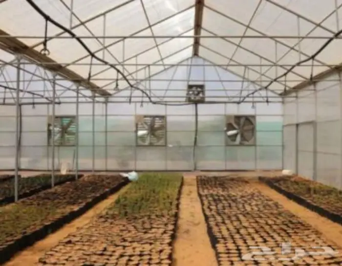 بيوت محمية و صالات زراعية مكيفة 4