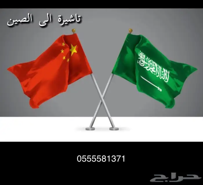 تاشيرة فيزا الى الصين موافقة 0