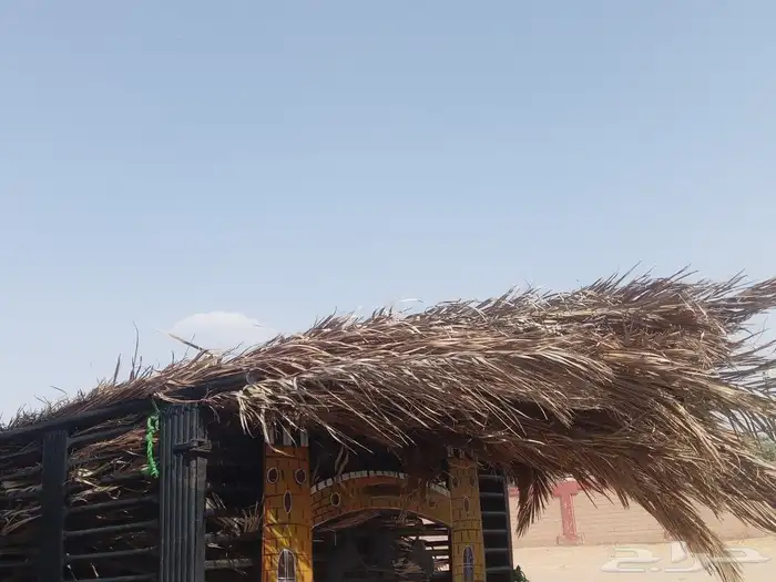 جريد عرائش ومظلات 0