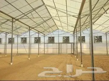 زراعة مائية 4