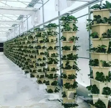 زراعة مائية 1