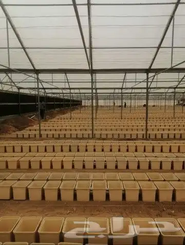 زراعة مائية 6